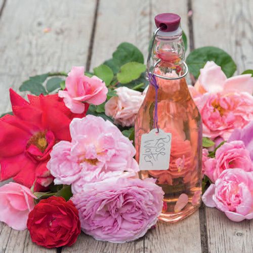 12x12 cm enkle kort 10-pakk