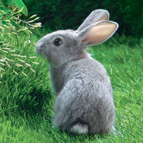 12x12 cm enkle kort 10-pakk