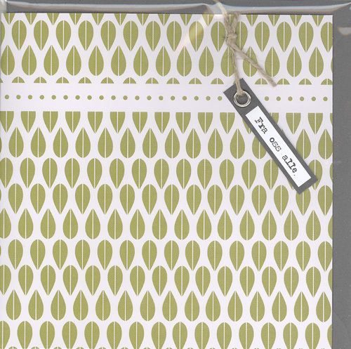 Cinnamon Aitch Cornflower Doble Kort 12x12