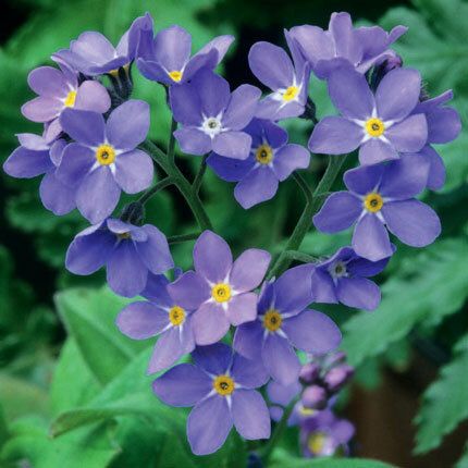 12x12 cm enkle kort 10-pakk