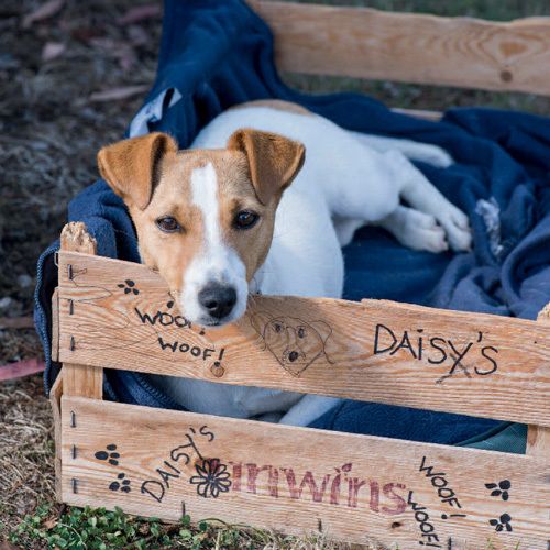 12x12 cm enkle kort 10-pakk