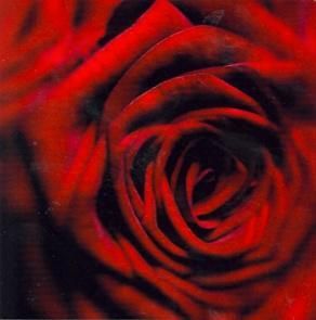 12x12 cm enkle kort 10-pakk