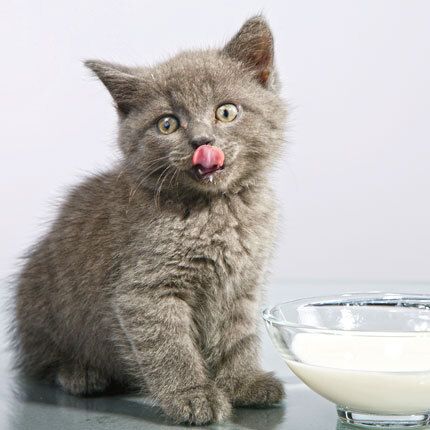 12x12 cm enkle kort 10-pakk