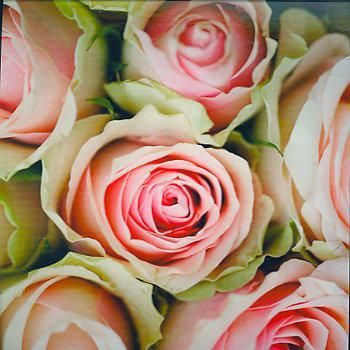 12x12 cm enkle kort 10-pakk