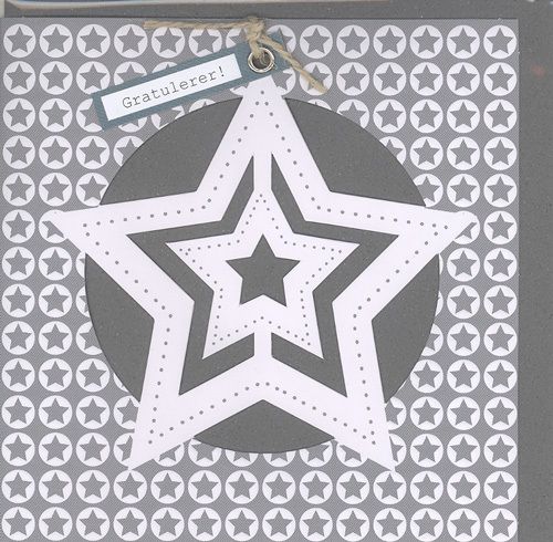 Cinnamon Aitch Cornflower Doble Kort 12x12