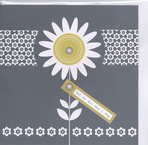 Cinnamon Aitch Cornflower Doble Kort 12x12