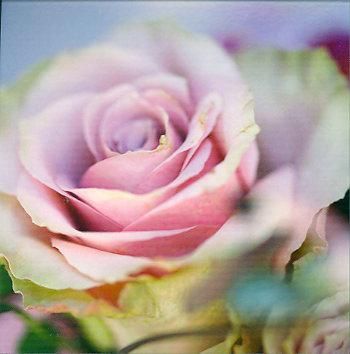 12x12 cm enkle kort 10-pakk