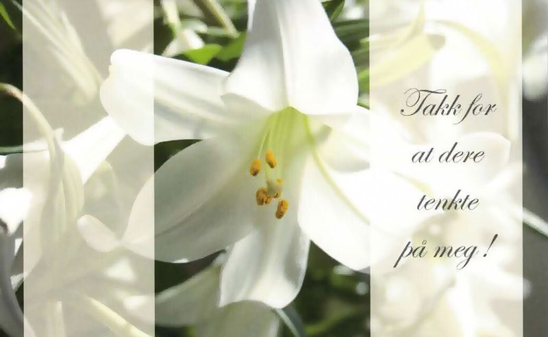 Enkle takkekort med konvolutt