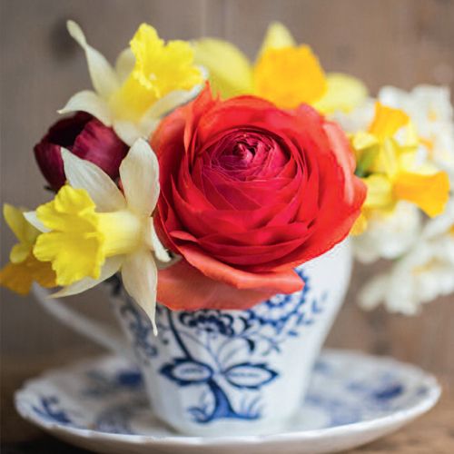 12x12 cm enkle kort 10-pakk