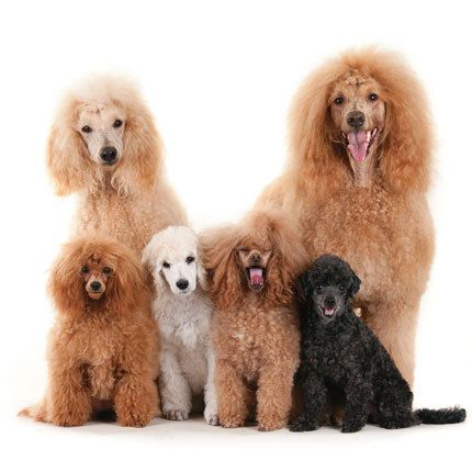 12x12 cm enkle kort 10-pakk