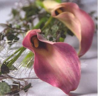 12x12 cm enkle kort 10-pakk