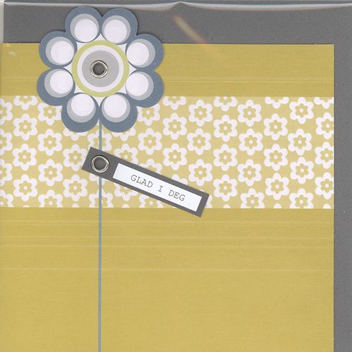 Cinnamon Aitch Cornflower Doble Kort 12x12