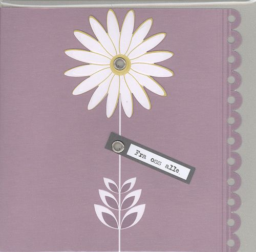 Cinnamon Aitch Cornflower Doble Kort 12x12