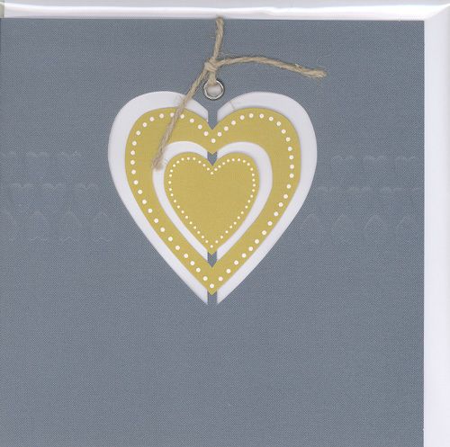 Cinnamon Aitch Cornflower Doble Kort 12x12