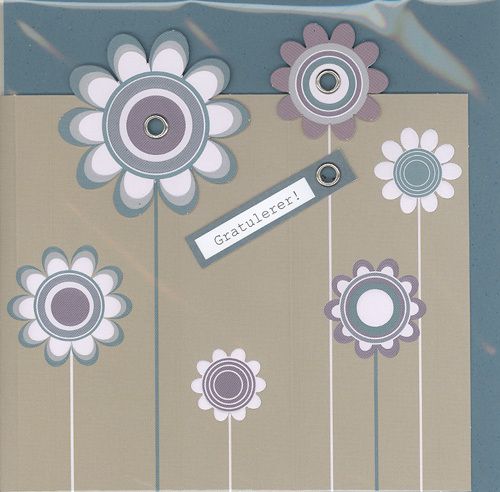 Cinnamon Aitch Cornflower Doble Kort 12x12