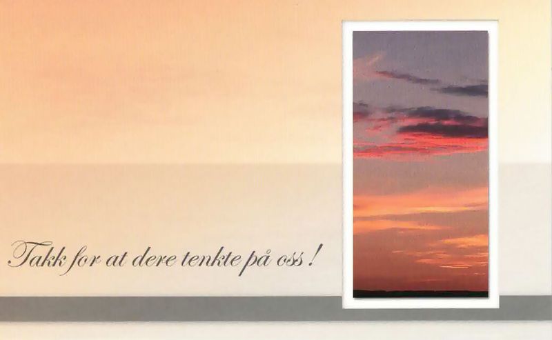 Enkle takkekort med konvolutt