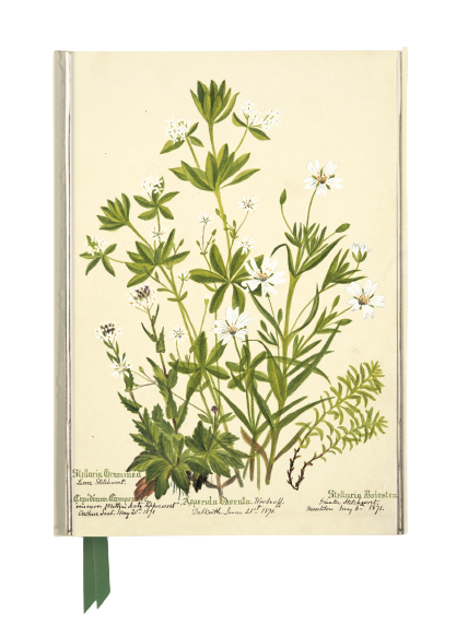 Flametree Notatbok Linjert (3 stk pr. pk)