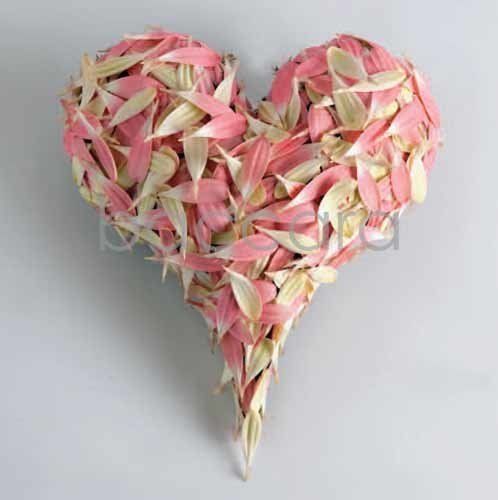 Flowers 4 you 12x12 cm