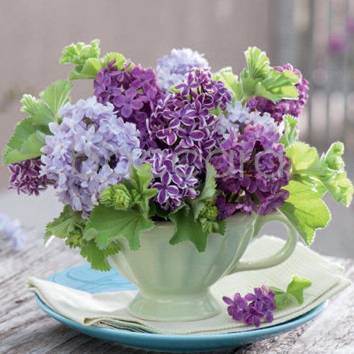 Flowers 4 you 12x12 cm