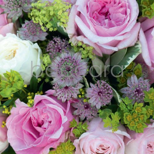 Flowers 4 you 12x12 cm