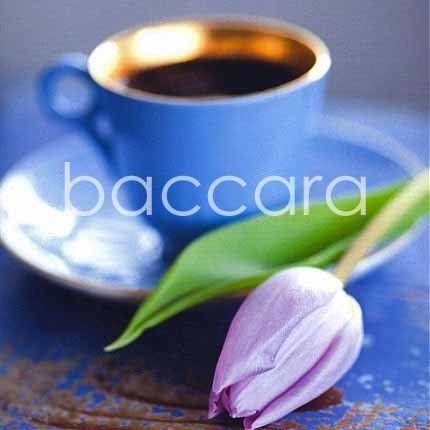 Flowers 4 you 12x12 cm