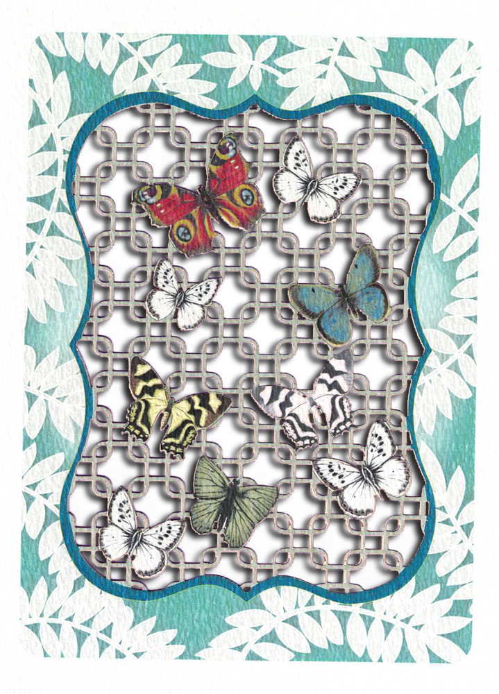 Forever Laser Doble kort