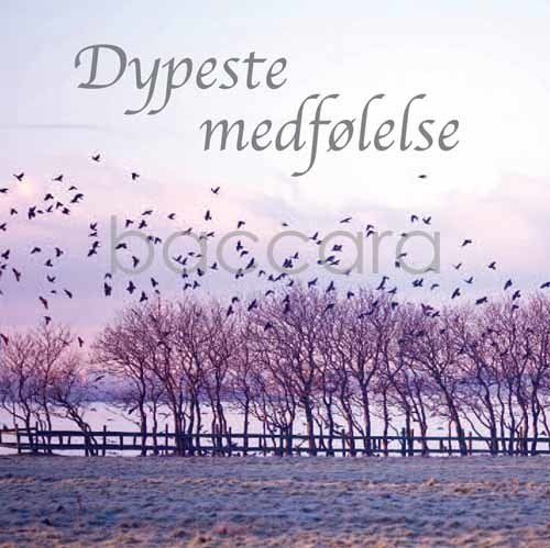 Flowers 4 you 12x12 cm