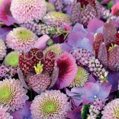 Flowers 4 you 12x12 cm