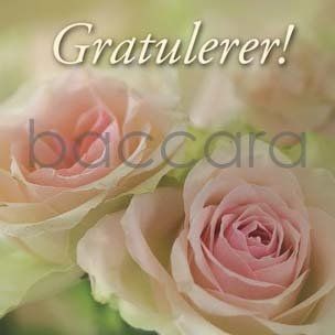 Flowers 4 you 12x12 cm