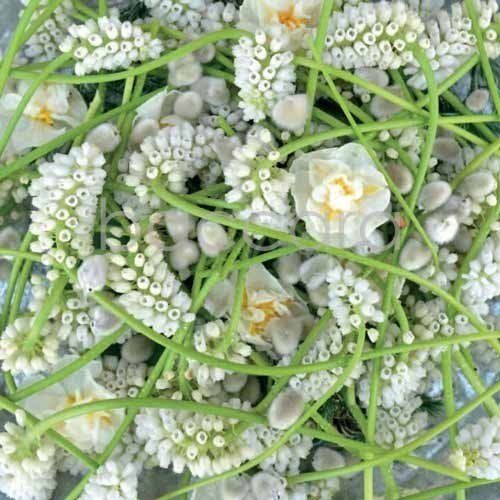 Flowers 4 you 12x12 cm