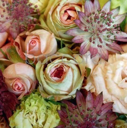 Flowers 4 you 12x12 cm