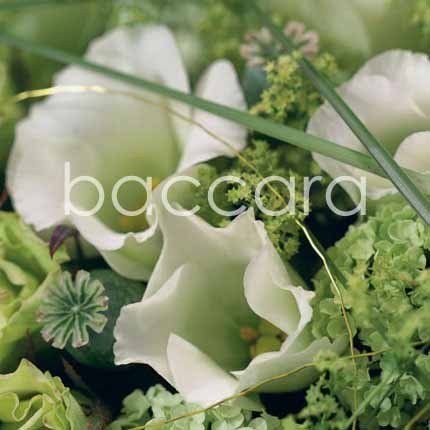 Flowers 4 you 12x12 cm