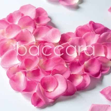 Flowers 4 you 12x12 cm