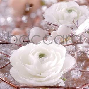 Flowers 4 You - doble 12x12cm Kristin Voreland