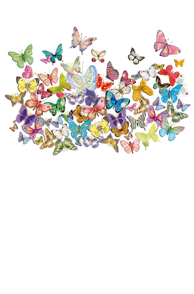 Editiones Desastre ICONES