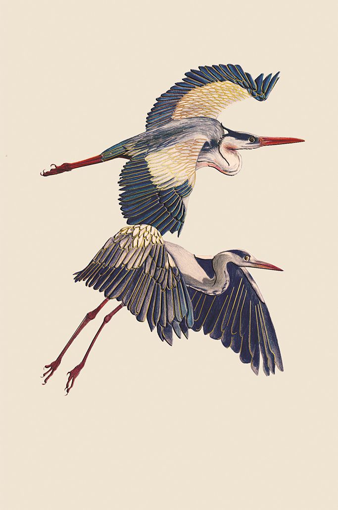 Editions Desastre ICONES