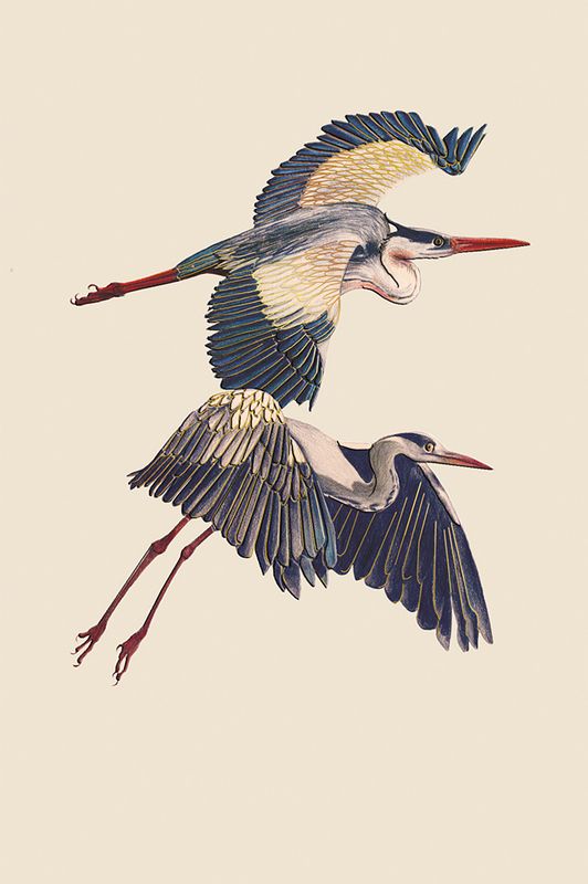 Editions Desastre ICONES