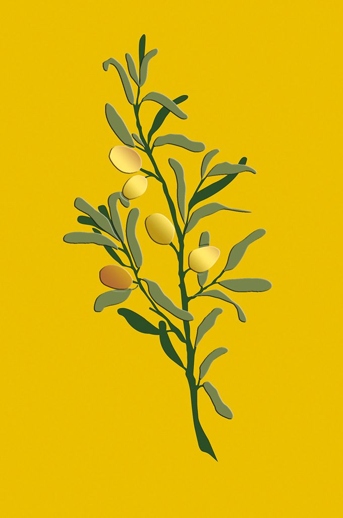 Editions Desastre ICONES