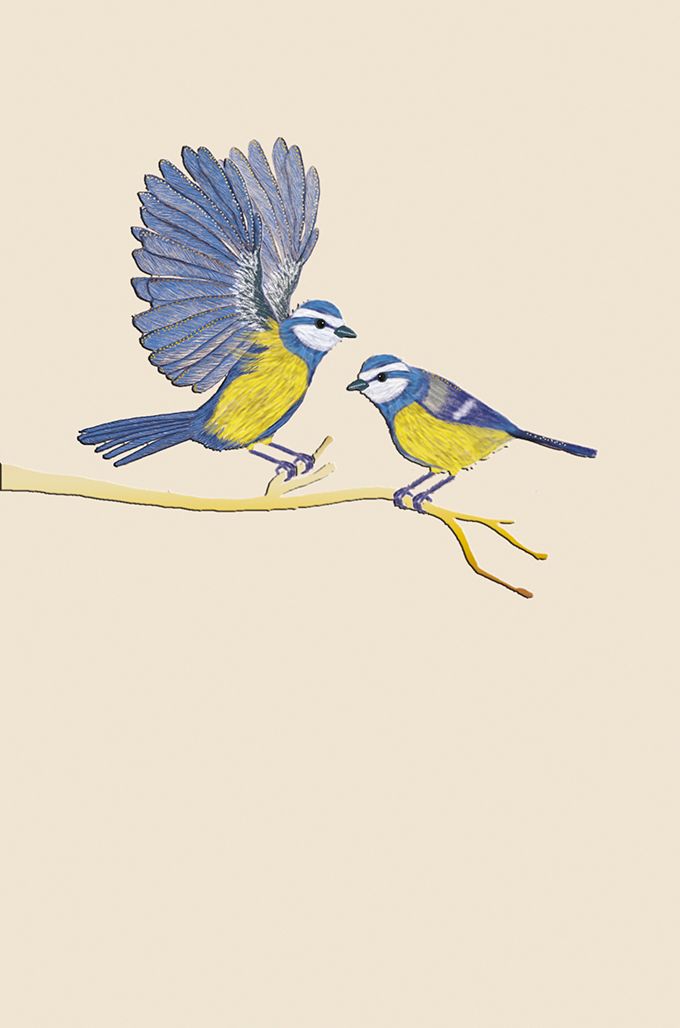 Editions Desastre ICONES