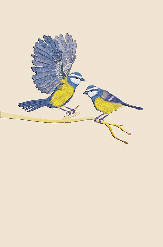 Editions Desastre ICONES