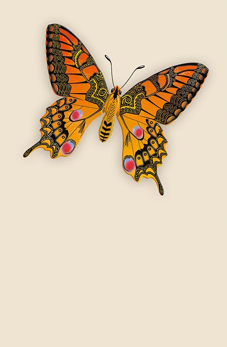 Editions Desastre ICONES