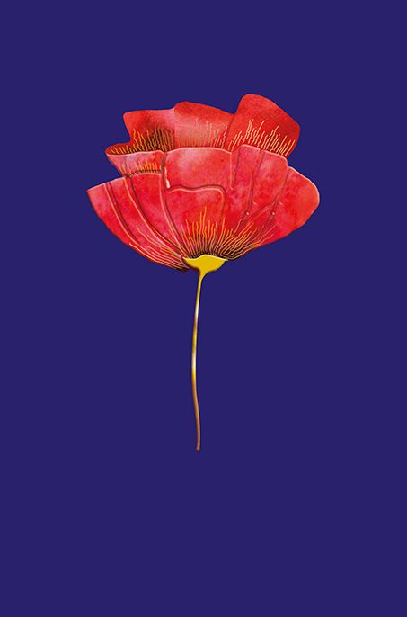 Editions Desastre ICONES