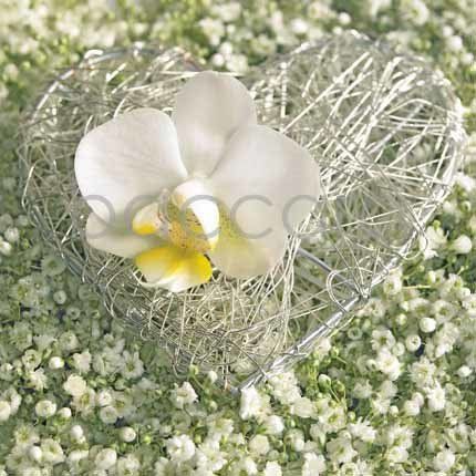 Flowers 4 you 12x12 cm