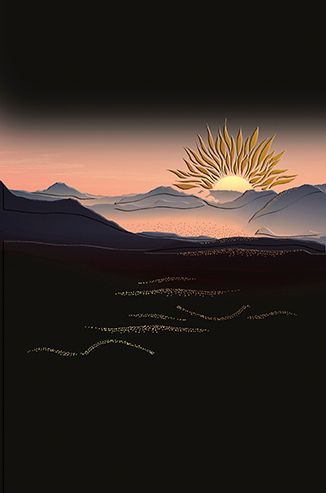 Editions Desastre ICONES