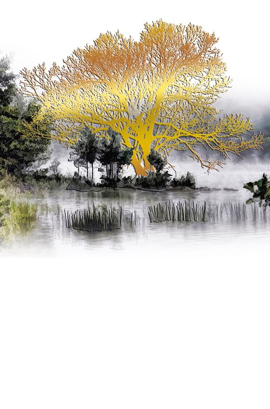 Editions Desastre ICONES