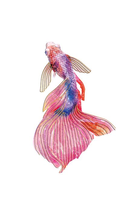 Editiones Desastre ICONES