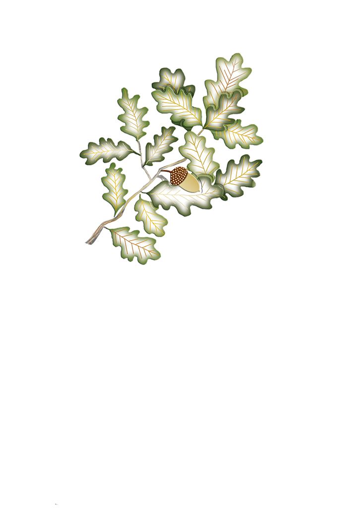 Editions Desastre ICONES