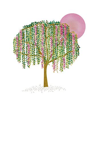 Editions Desastre ICONES