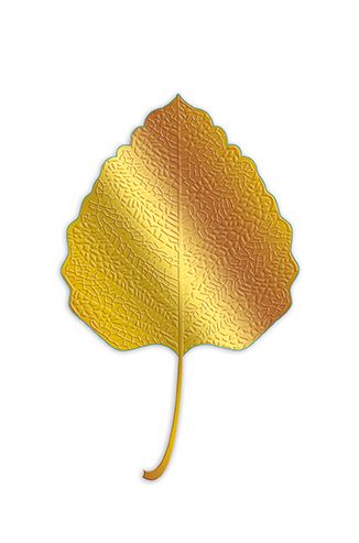 Editiones Desastre ICONES