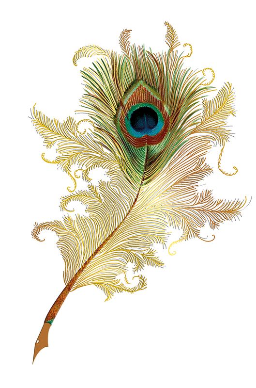 Editiones Desastre ICONES